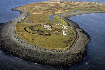 Scattery Island Tours Kilrush